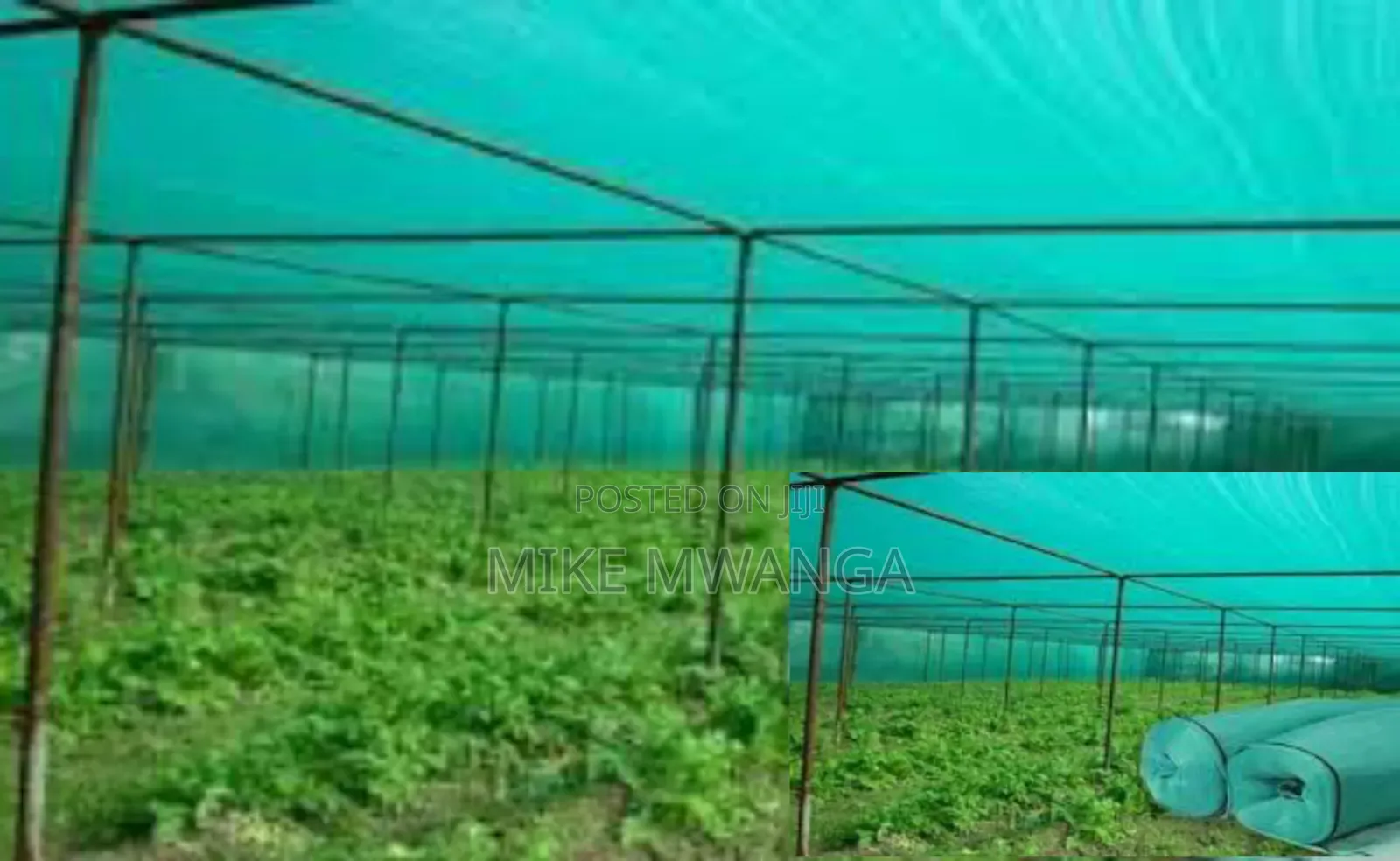 Long Lasting Agricultural Net 4x50m