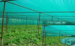 Long Lasting Agricultural Net 4x50m - thumbnail 2