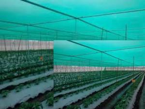 Agriculture/Cultivation Nets 4x50m - thumbnail 2