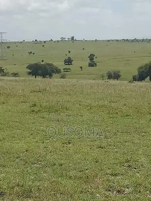 Kitengela Acacia – Your Gateway to Serene Living Smart Investment!