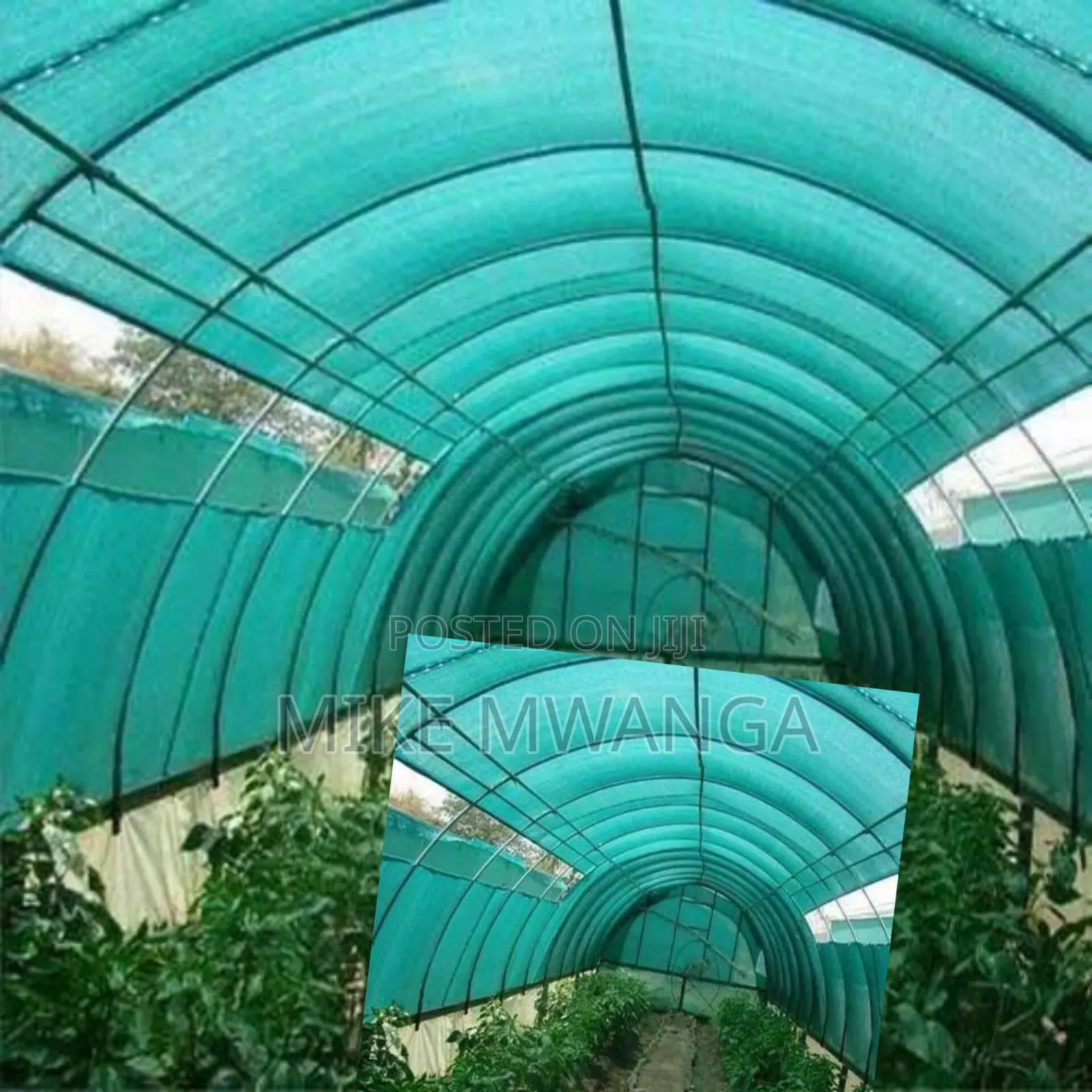 Long Lasting Performance Agricultural Net