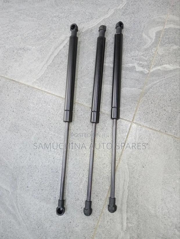 Bonnet Shock Nissan - main view