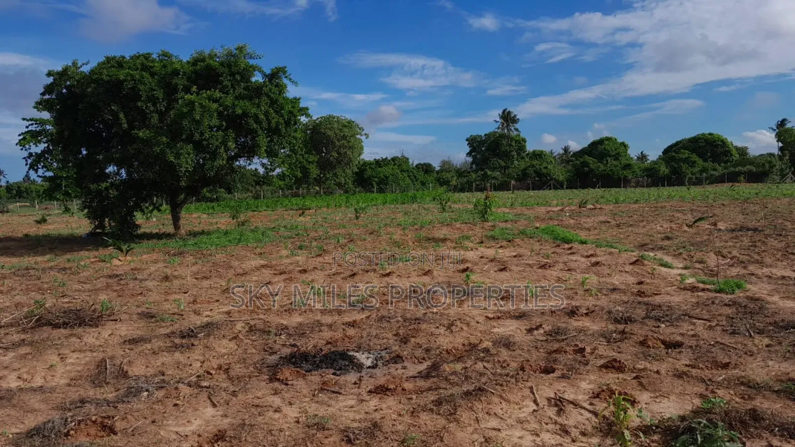 13-Acre Farm for Sale- Majaoni