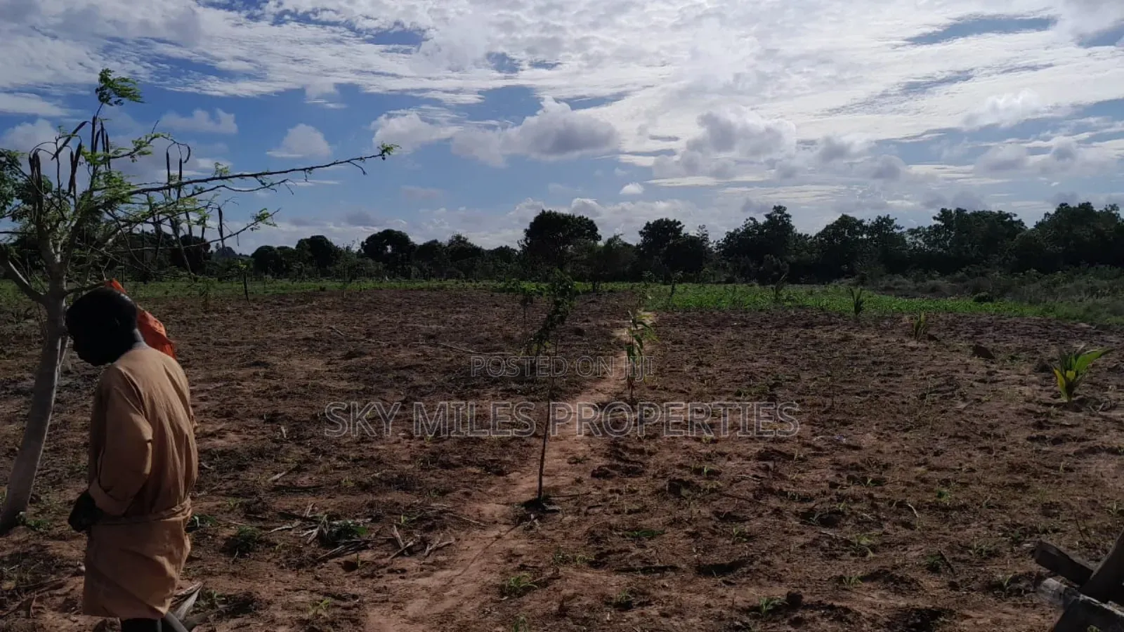 13-Acre Farm for Sale- Majaoni