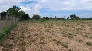 13-Acre Farm for Sale- Majaoni