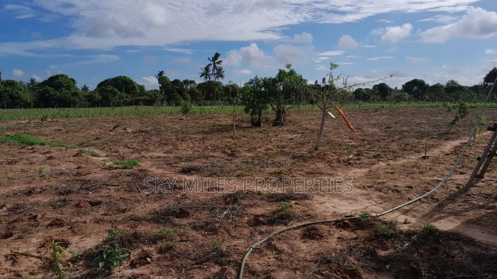 13-Acre Farm for Sale- Majaoni