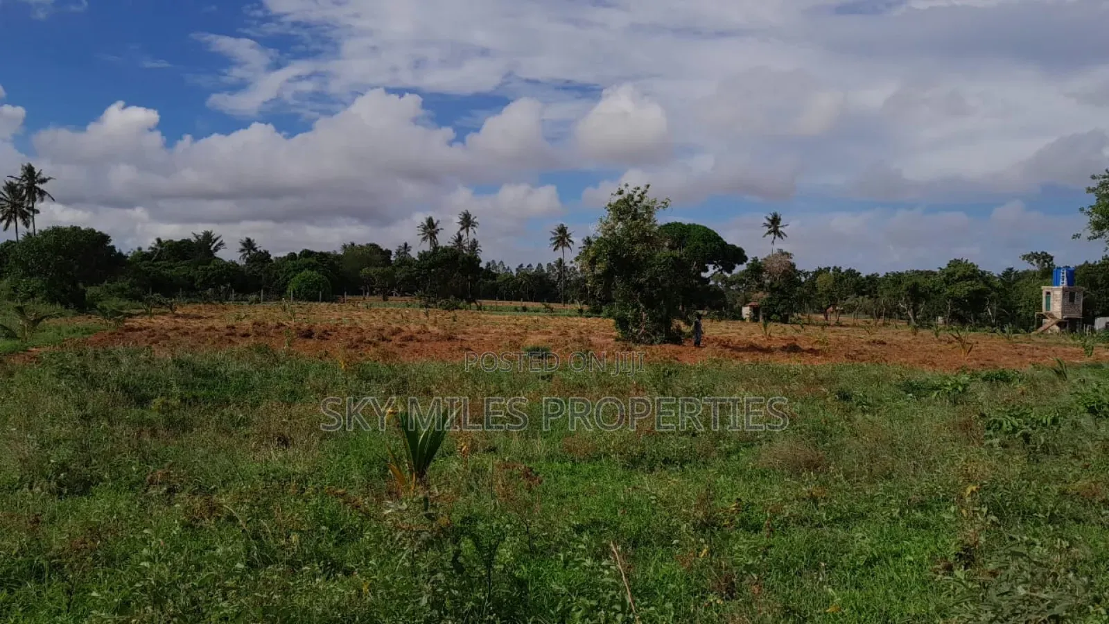 13-Acre Farm for Sale- Majaoni