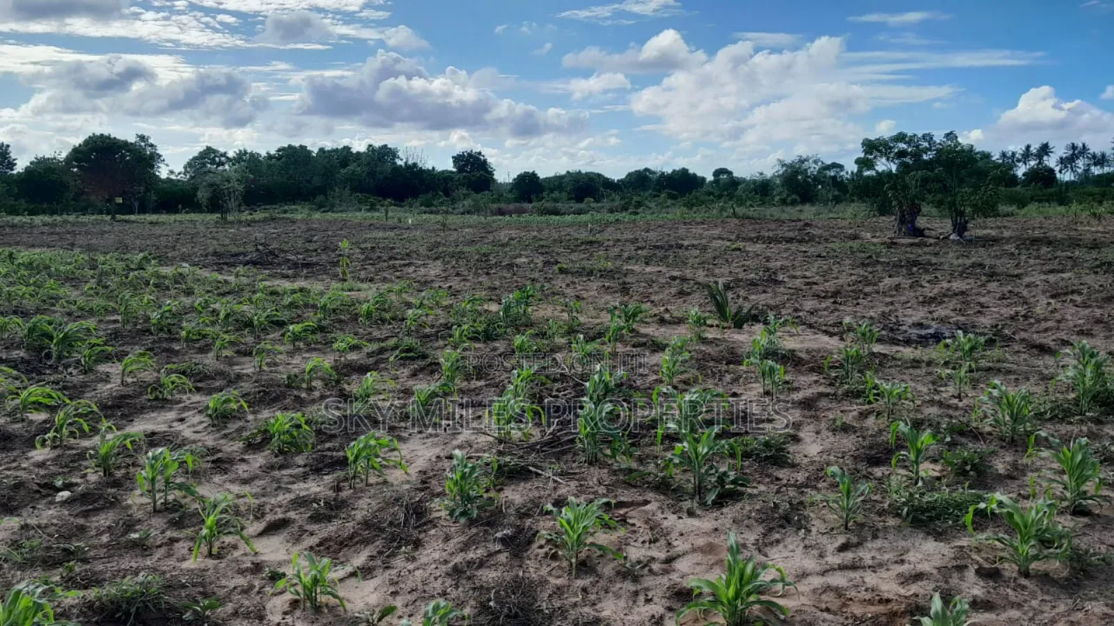 13-Acre Farm for Sale- Majaoni