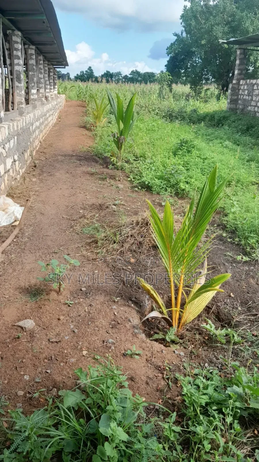 13-Acre Farm for Sale- Majaoni