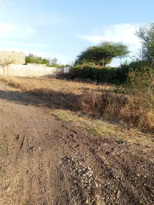 3 Acres of Land