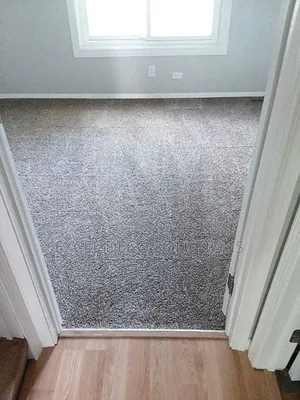 Charcoal Grey Carpet Delta Wall to Wall Carpet