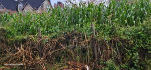 1⁄4 Plot for Sale in Hillside Eldoret - thumbnail 2