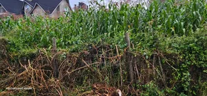 1⁄4 Plot for Sale in Hillside Eldoret
