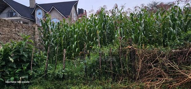 1⁄4 Plot for Sale in Hillside Eldoret - thumbnail 3