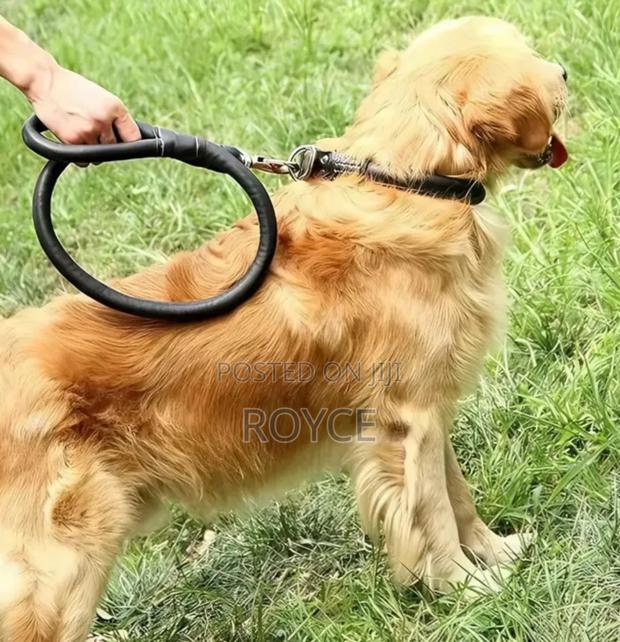 Pu Leather Dog Leash - thumbnail 3