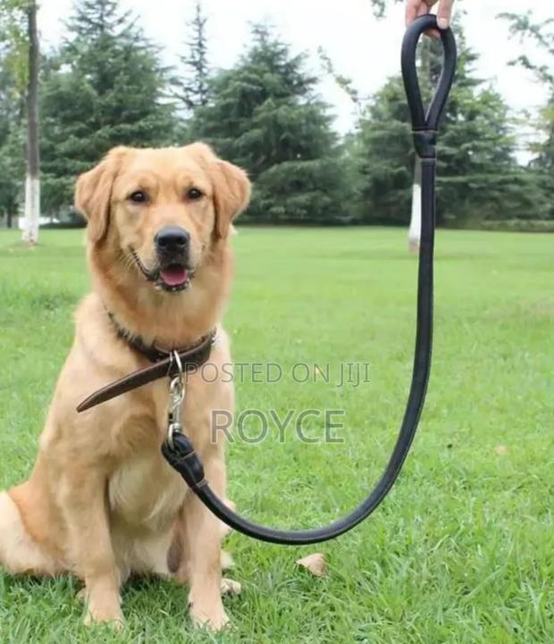Pu Leather Dog Leash - thumbnail 4