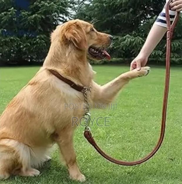 Pu Leather Dog Leash - thumbnail 7