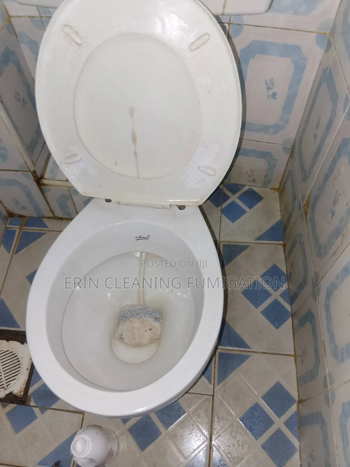 Kitchen Sink Bowels Cleaning