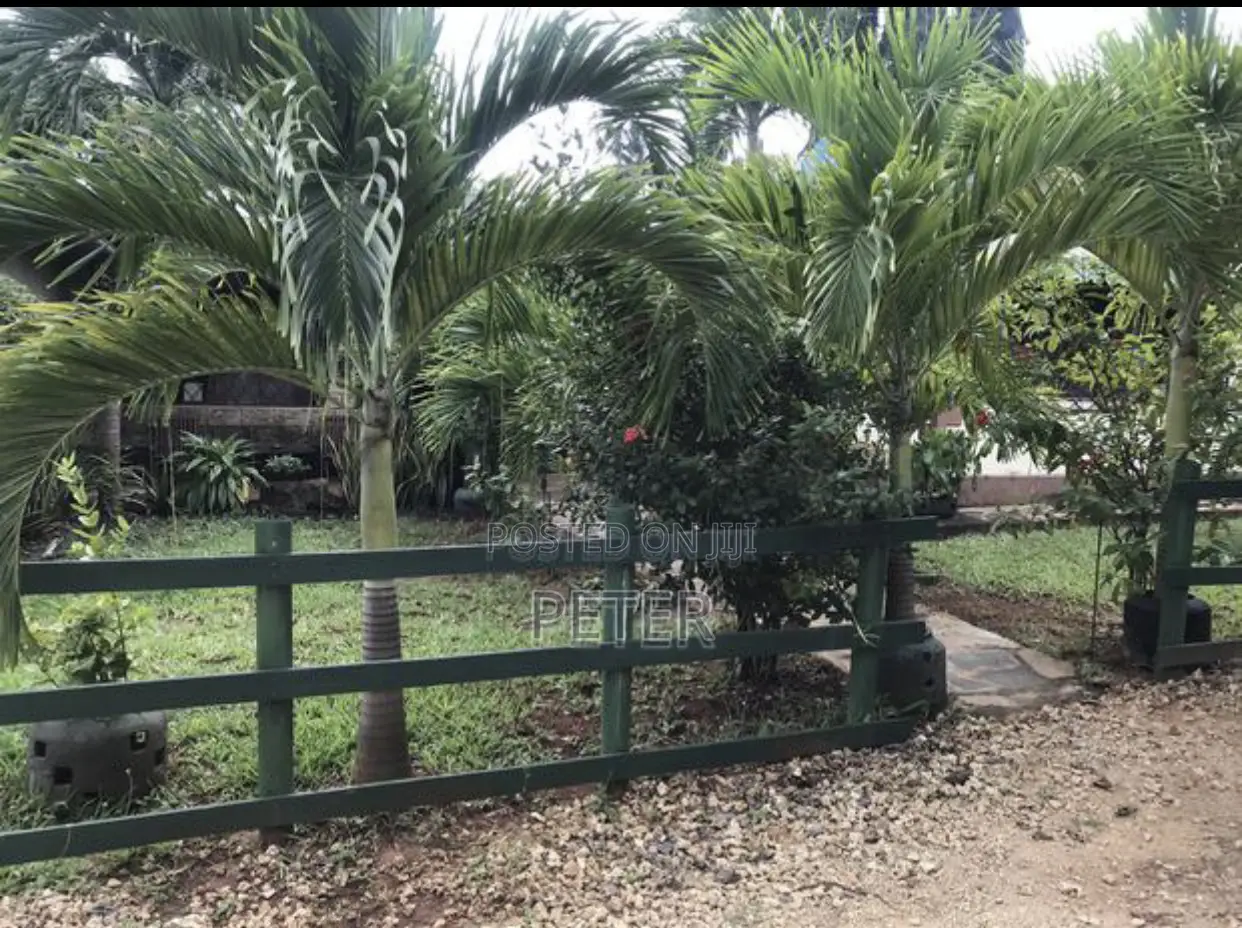 2bdrm Bungalow in Darad, Diani for rent