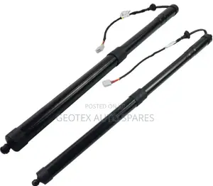 Lexus Rx350 / 450h Electric Boots Shocks
