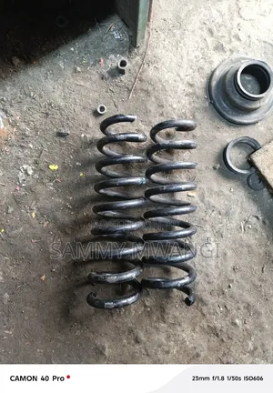BMW X5 Rear Coil Spring for Ground Clearance Each
