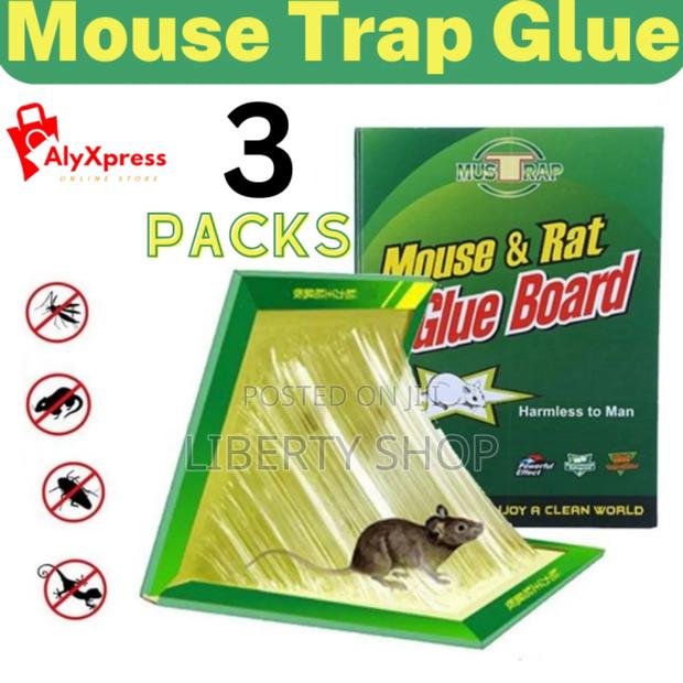 3 Pieces Non Toxic Rat Traps - main view