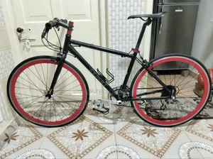 Hybrid Bicycle
