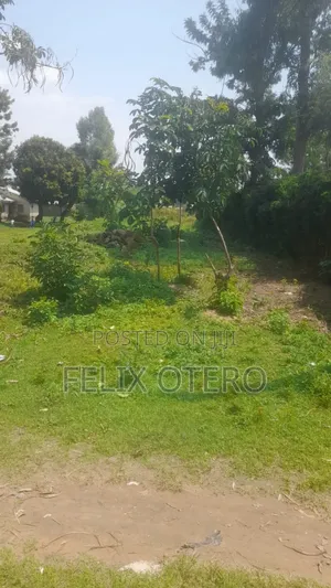Plot for Sale in Busia Amagoro