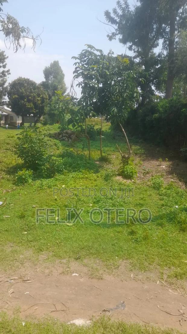 Plot for Sale in Busia Amagoro