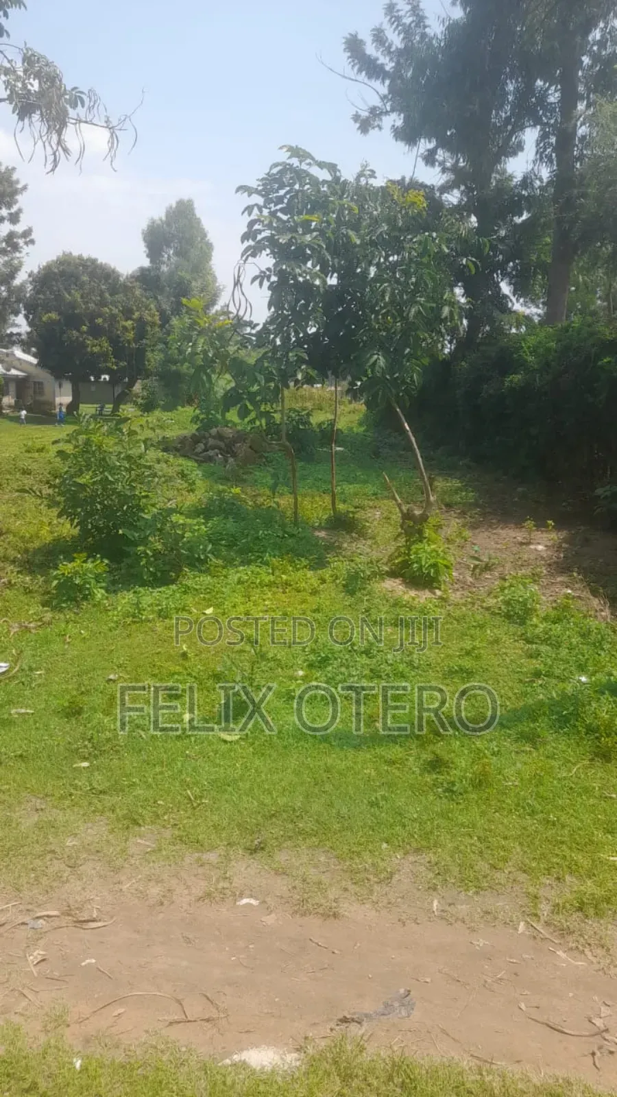 Plot for Sale in Busia Amagoro