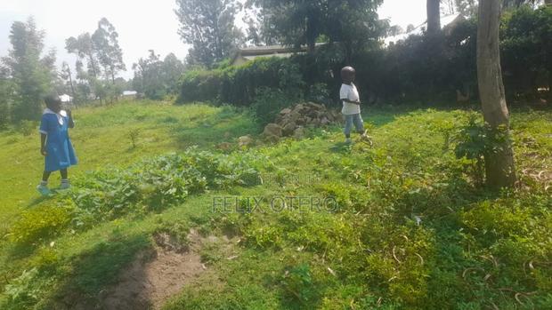Plot for Sale in Busia Amagoro - thumbnail 2