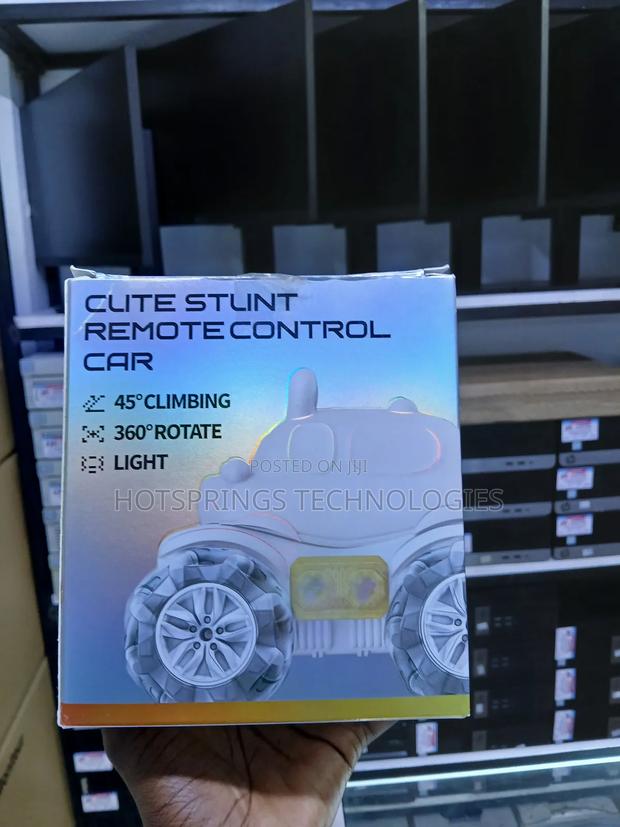 Remote Control Stunt Cars