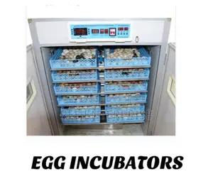 Offer Offer 2112 Egg Incubator Brand New Warranty