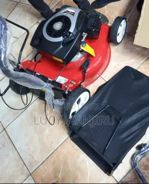 Self Propelled Loanmower / 175 Cc Loanmower
