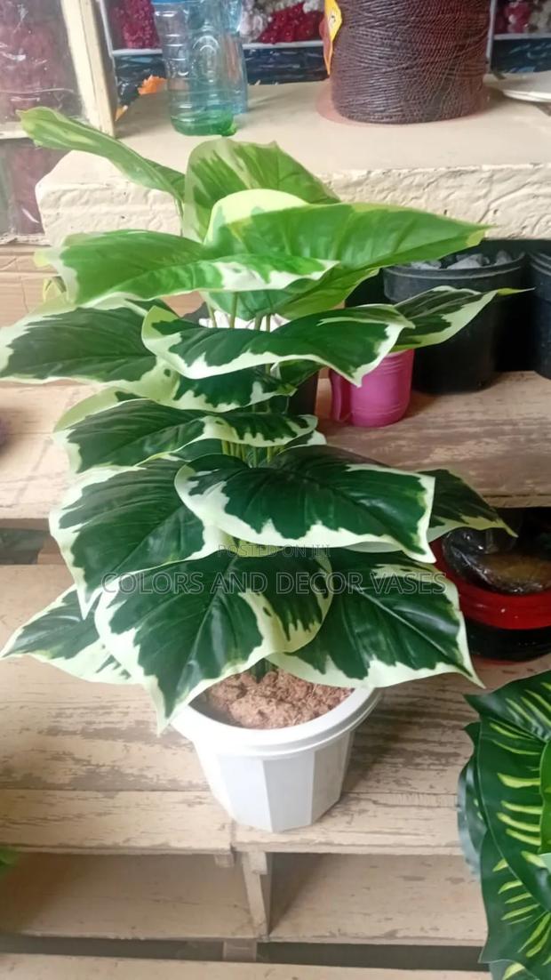 Evergreen Artificial Plants Plus Vase