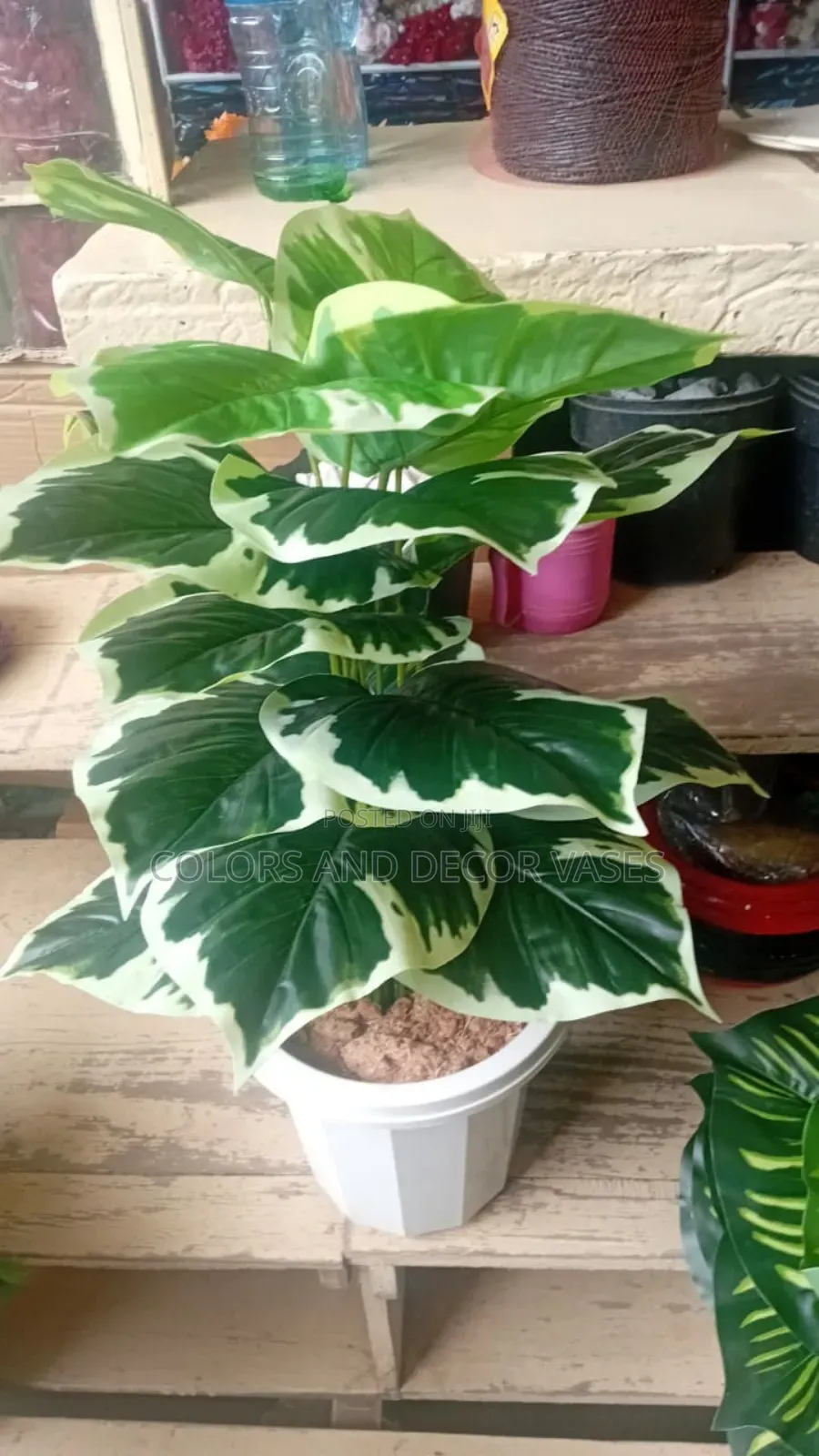 Evergreen Artificial Plants Plus Vase