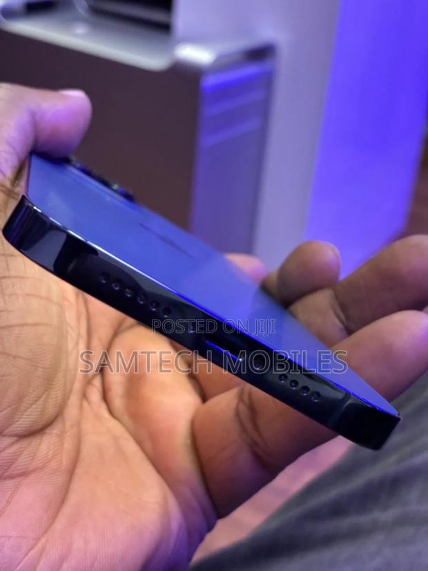 Apple iPhone 12 Pro Max 256 GB Gray - thumbnail 5