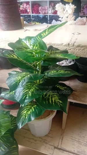 Corner Plant and Vase