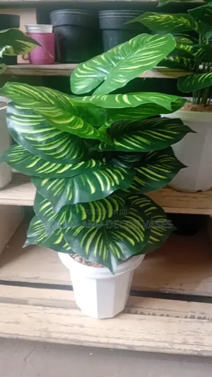 Long-Lasting Decorative Greenery