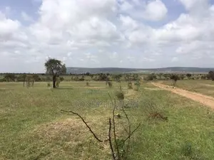 Athi River 50 by 100 Plots for Sale Near Daystar