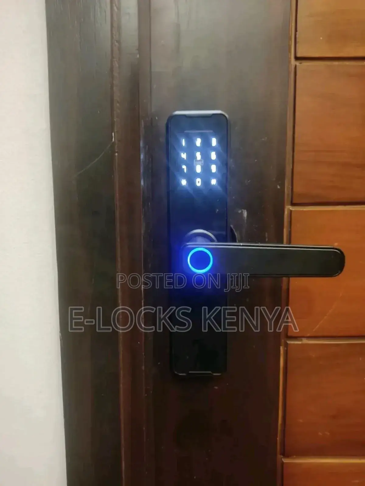 Tuya Biometric Door Lock