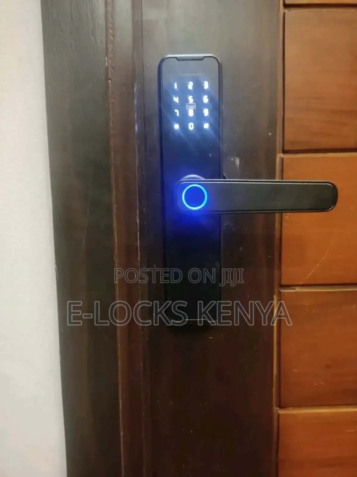 Tuya Biometric Door Lock