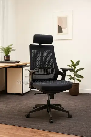Office Seat: Ergonomic High Back Mesh Seat