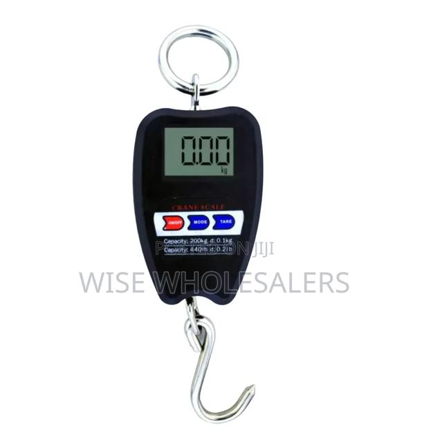 Pm_411 Crane Scale