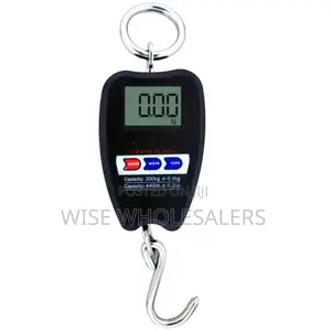 Pm_411 Crane Scale ....