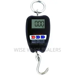Pm_411 Crane Scale ***