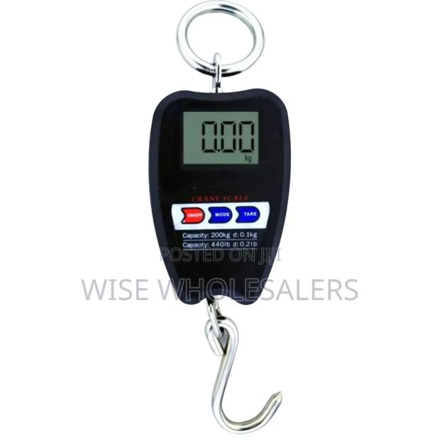 Pm_411 Crane Scale ***