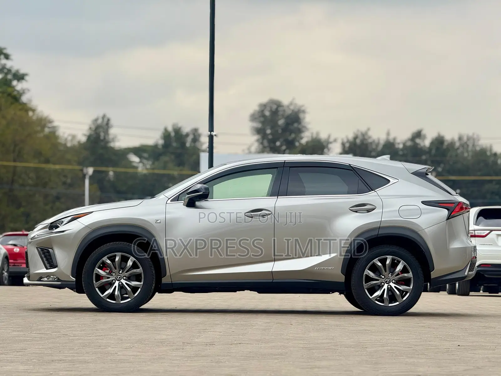 Lexus NX 300h Base 4x4 (2.5L 4cyl 2A) 2018 Silver