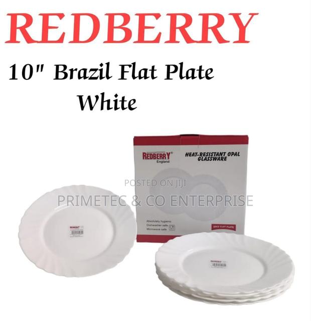 10" Dinner Plates Set of 6pcs