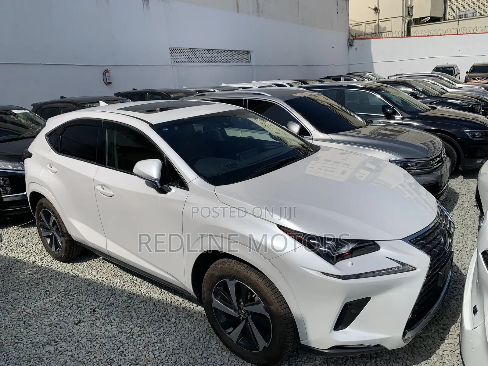 Lexus NX 300 AWD 2018 Pearl